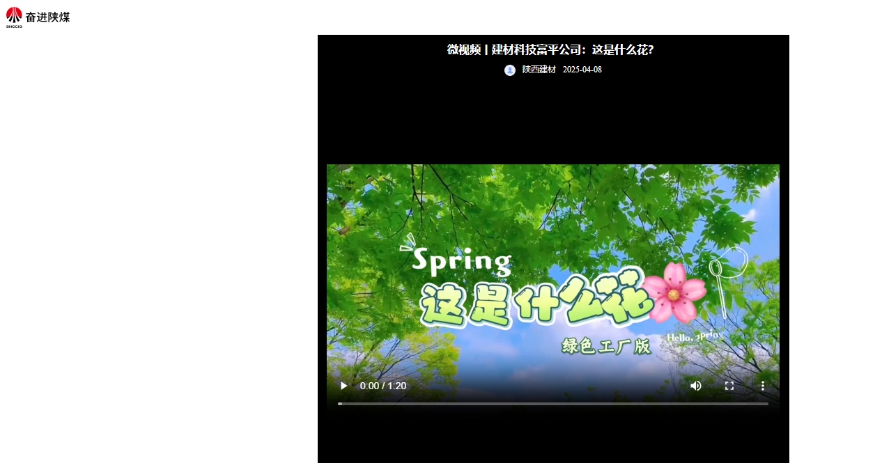 奮進(jìn)陜煤、陜煤集團(tuán)抖音 |建材科技富平公司:這是什么花?